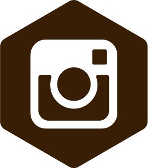 instagram icon